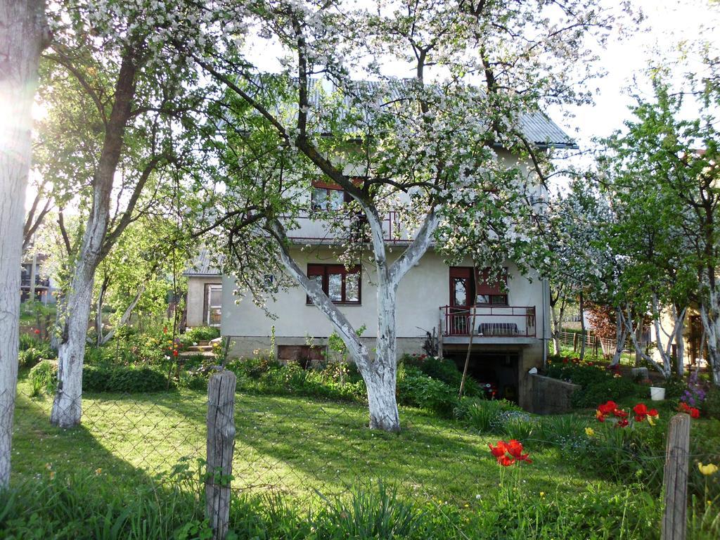 Guest House Krga Кореница Экстерьер фото